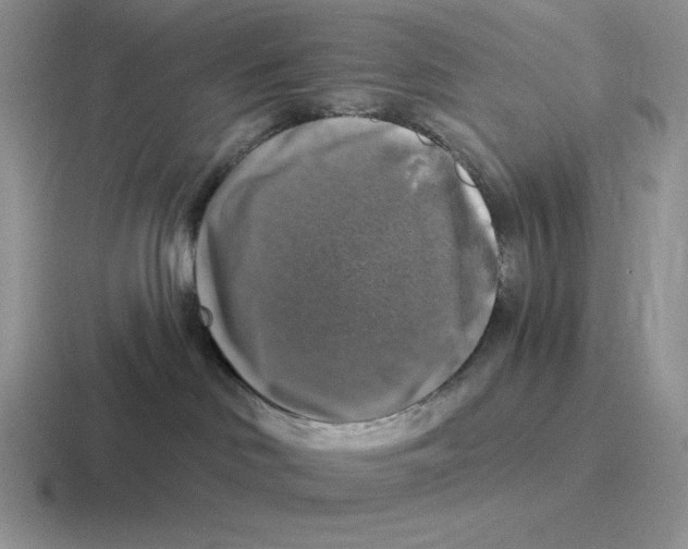 X0000116450046201001051233