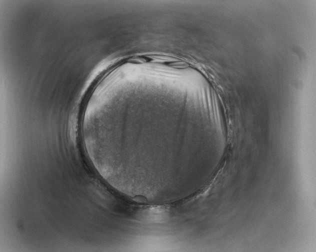 X0000116450056201001051232