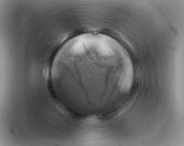 X0000116450076201001051232
