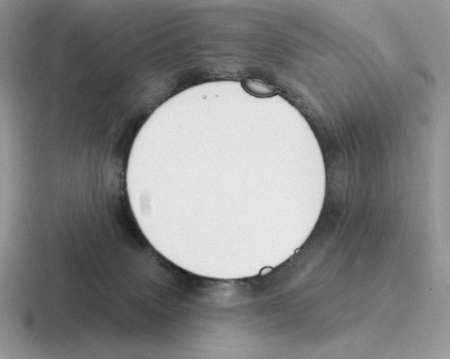 X0000116450083201001051232