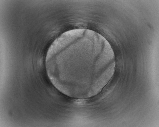 X0000116450088201001051232