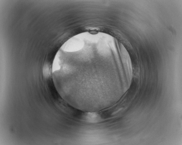 X0000116450095201001051233