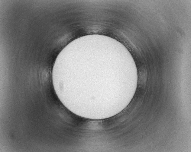 X0000116450126201001051232