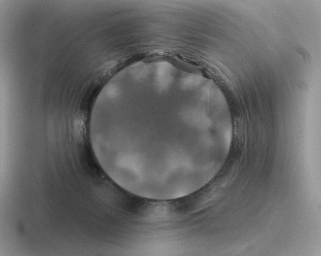 X0000116450127201001051232