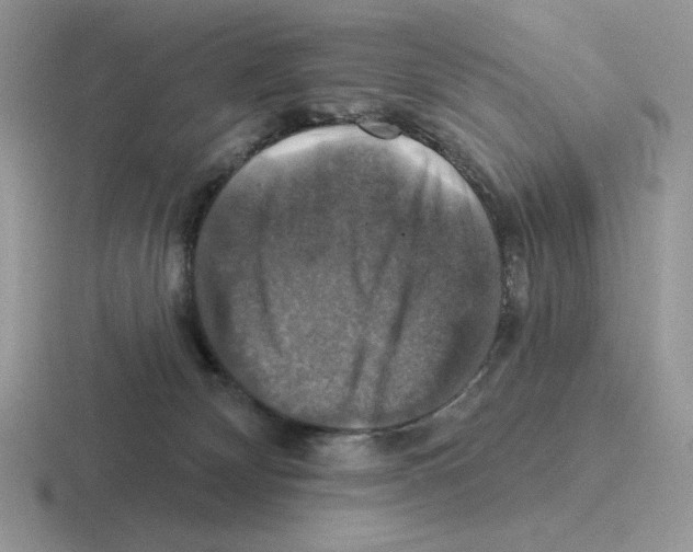X0000116450132201001051231