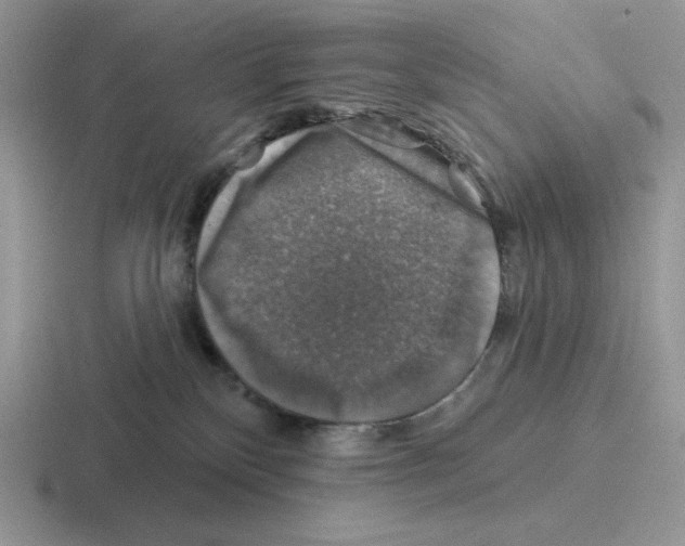 X0000116450136201001051231