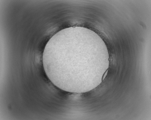 X0000116450138201001051231