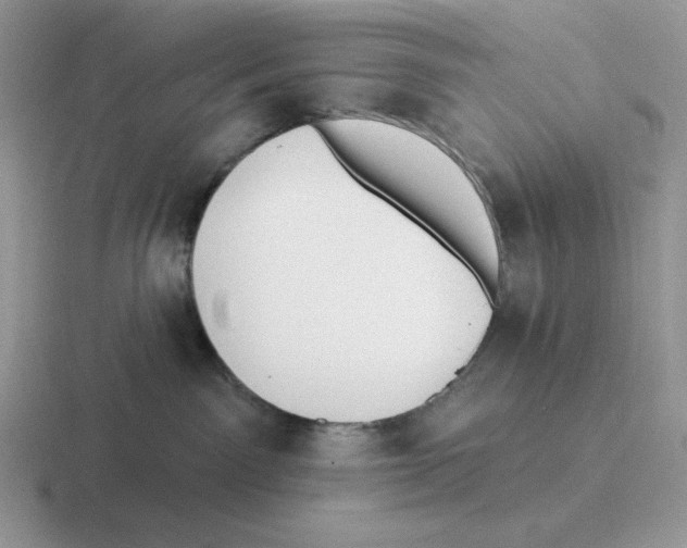 X0000116450141201001051231