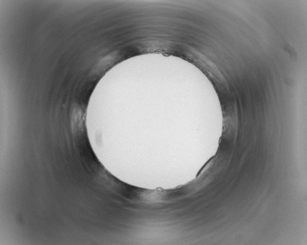 X0000116450142201001051231