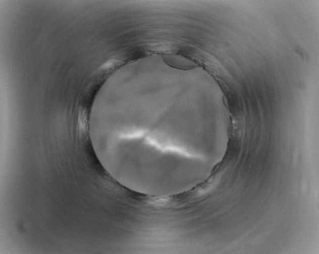 X0000116450143201001051231