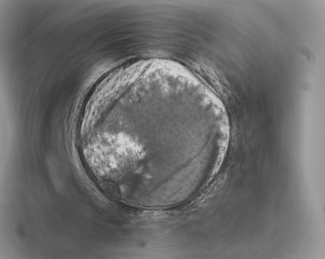 X0000116450145201001051231