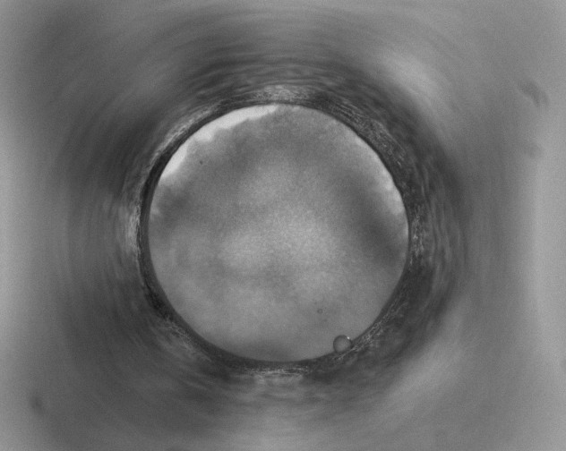 X0000116450146201001051231