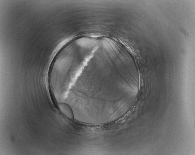X0000116450147201001051231