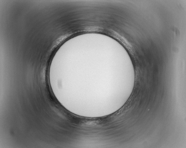 X0000116450155201001051231