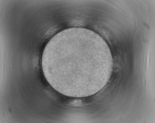 X0000116450162201001051231
