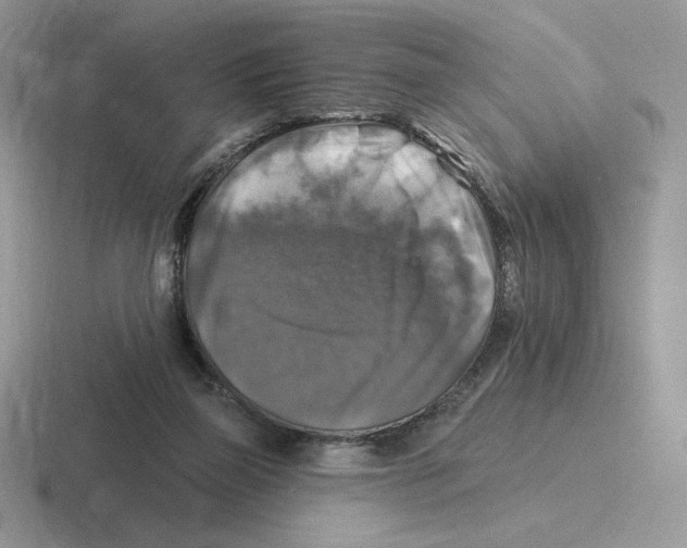 X0000116450165201001051231