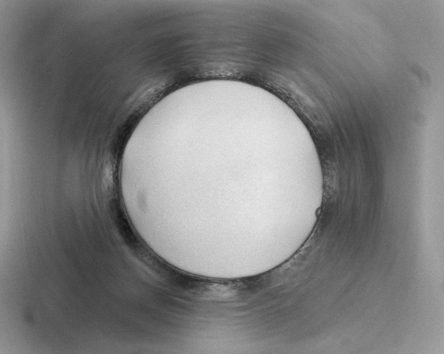 X0000116450166201001051231