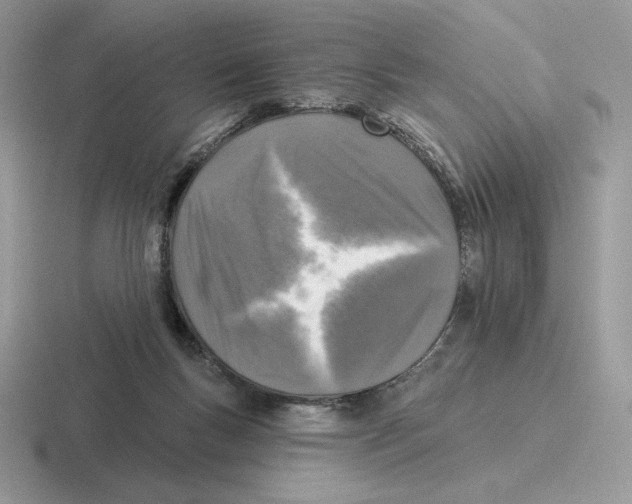 X0000116450167201001051231