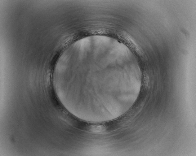 X0000116450169201001051231
