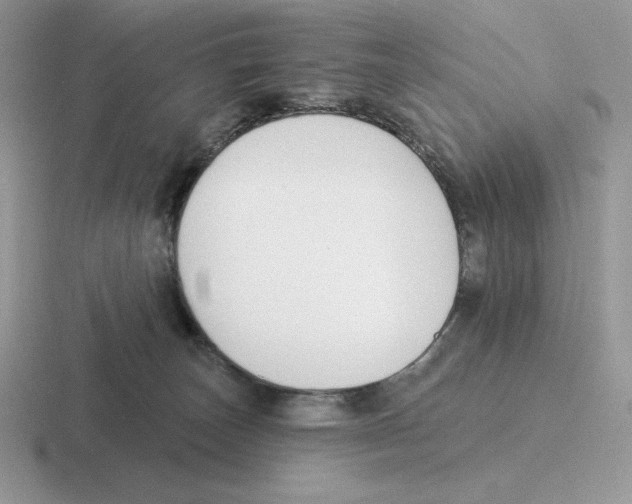 X0000116450179201001051231