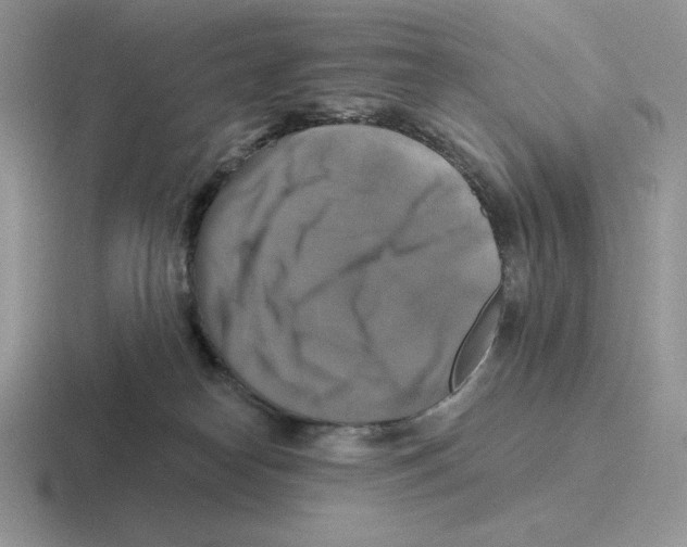 X0000116450182201001051231