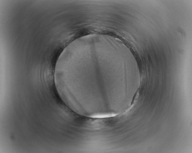 X0000116450186201001051231