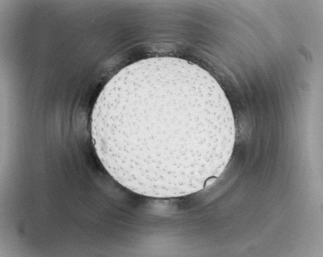 X0000116450187201001051231
