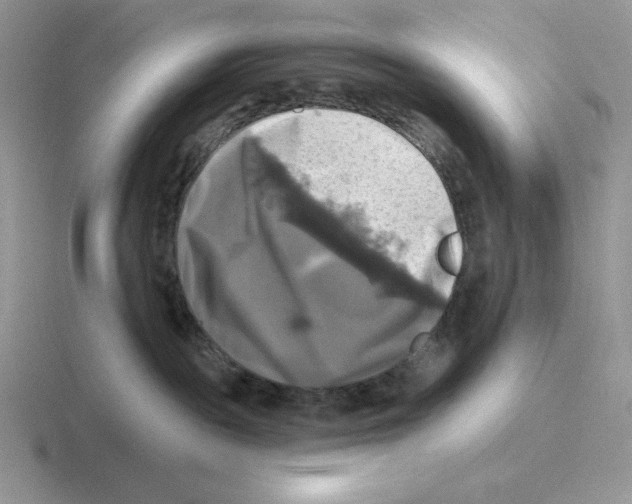 X0000116450189201001051231