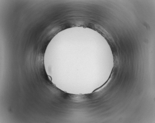 X0000116450191201001051231