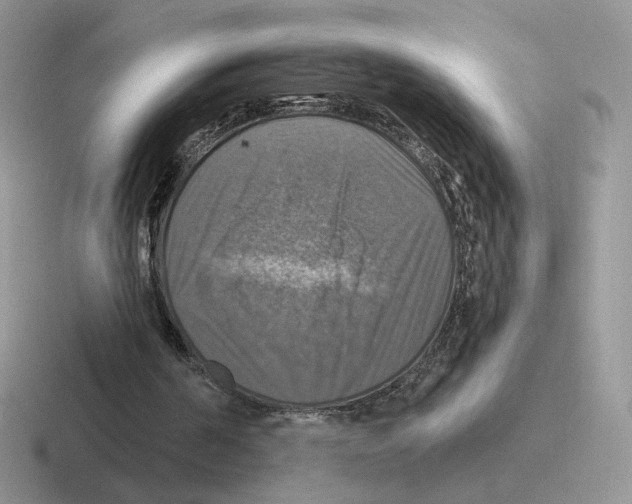 X0000116450194201001051231
