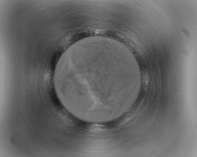 X0000116450222201001051230