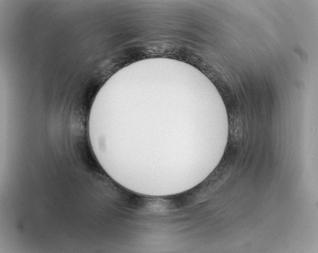 X0000116450226201001051230