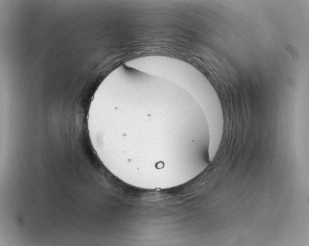 X0000116450231201001051230