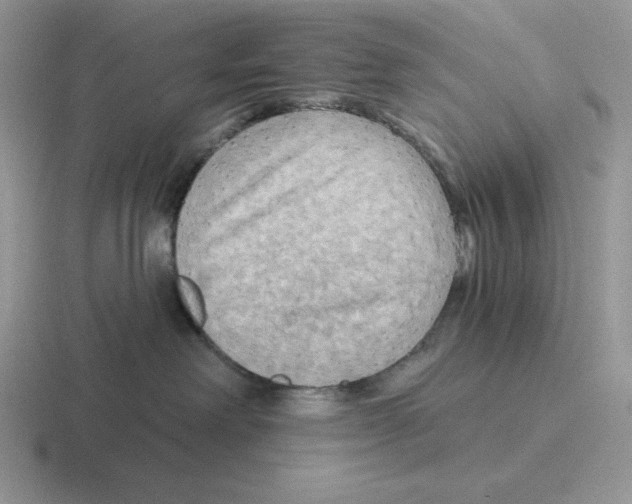 X0000116450238201001051230