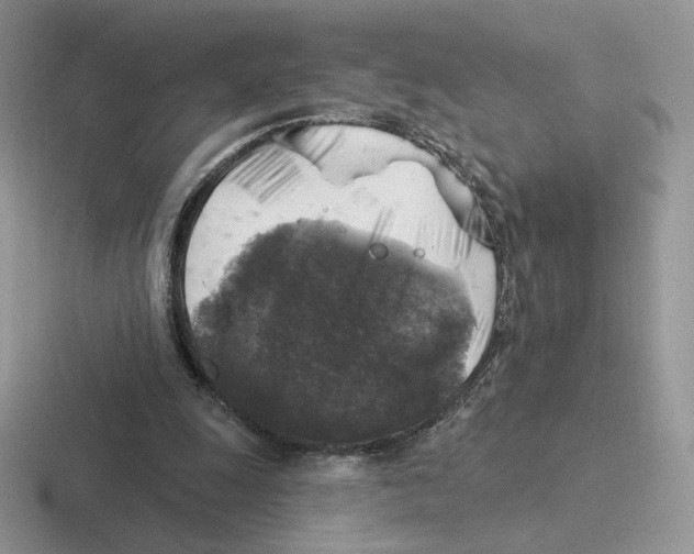 X0000116450247201001051230