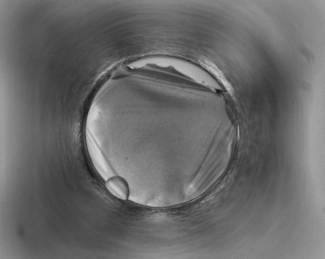X0000116450249201001051230