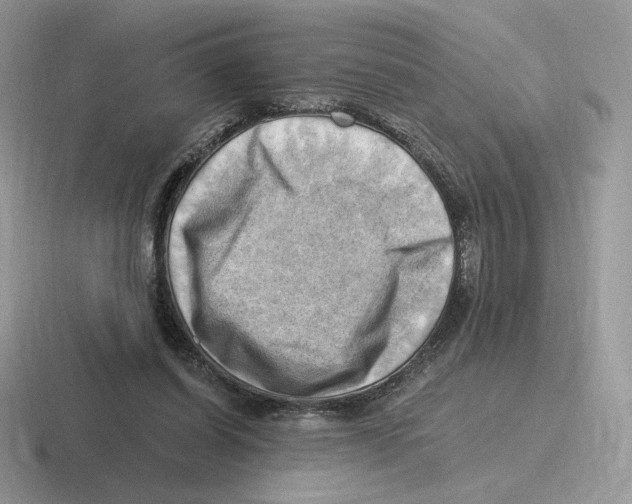 X0000116450254201001051230