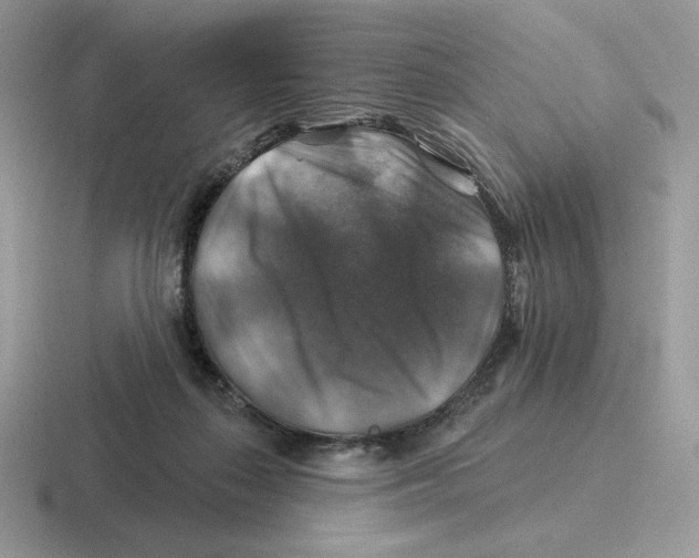 X0000116450267201001051230