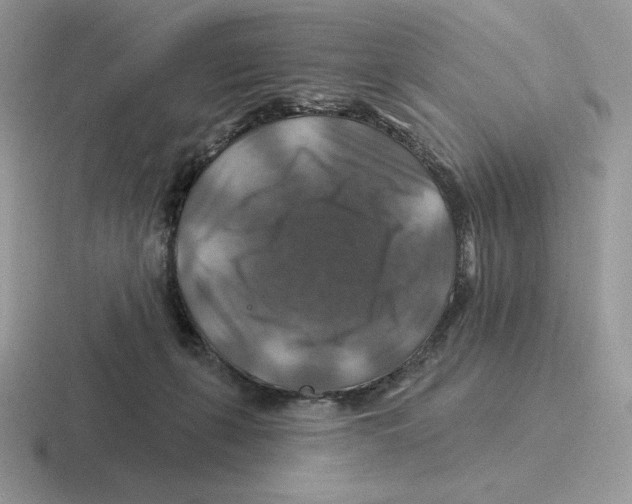 X0000116450271201001051230