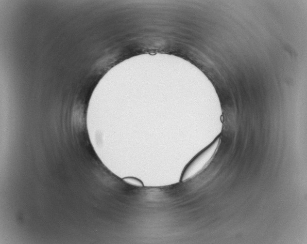 X0000116450287201001051230