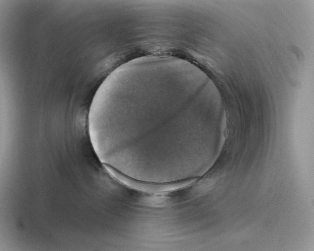 X0000116450288201001051230