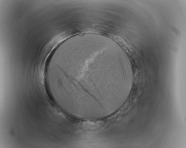 X0000116450290201001051229
