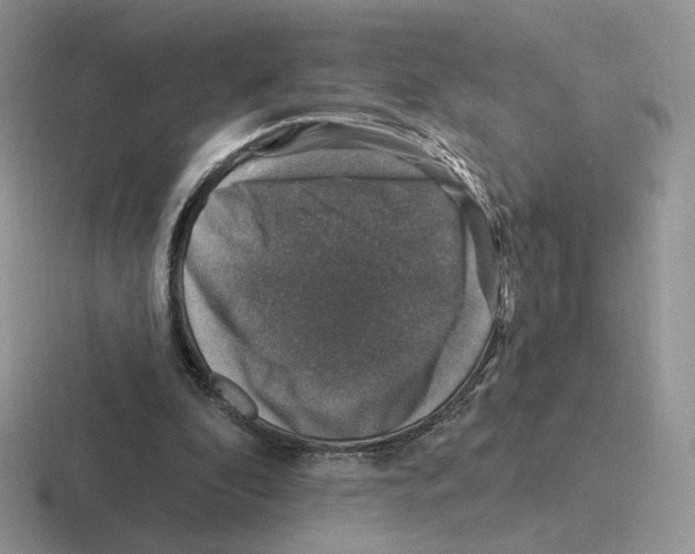 X0000116450296201001051229