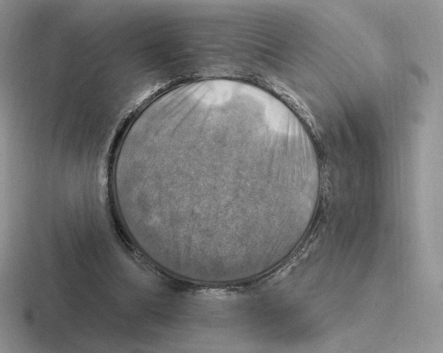 X0000116450298201001051229