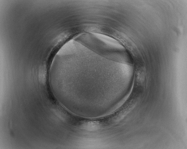 X0000116450304201001051229