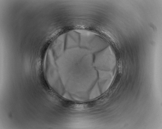 X0000116450314201001051229