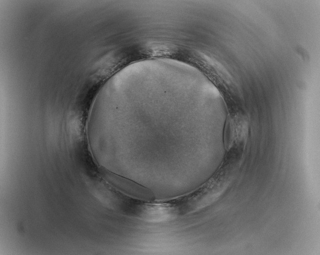 X0000116450316201001051229