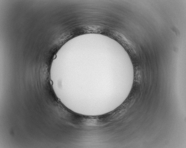 X0000116450318201001051229