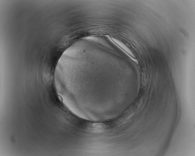 X0000116450324201001051229