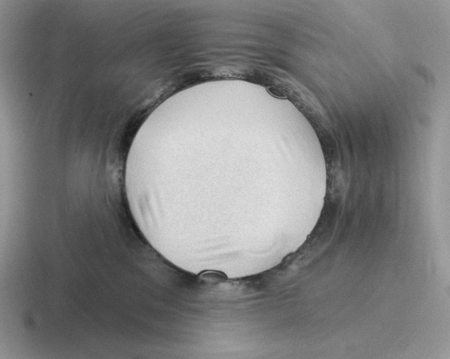 X0000116450329201001051229